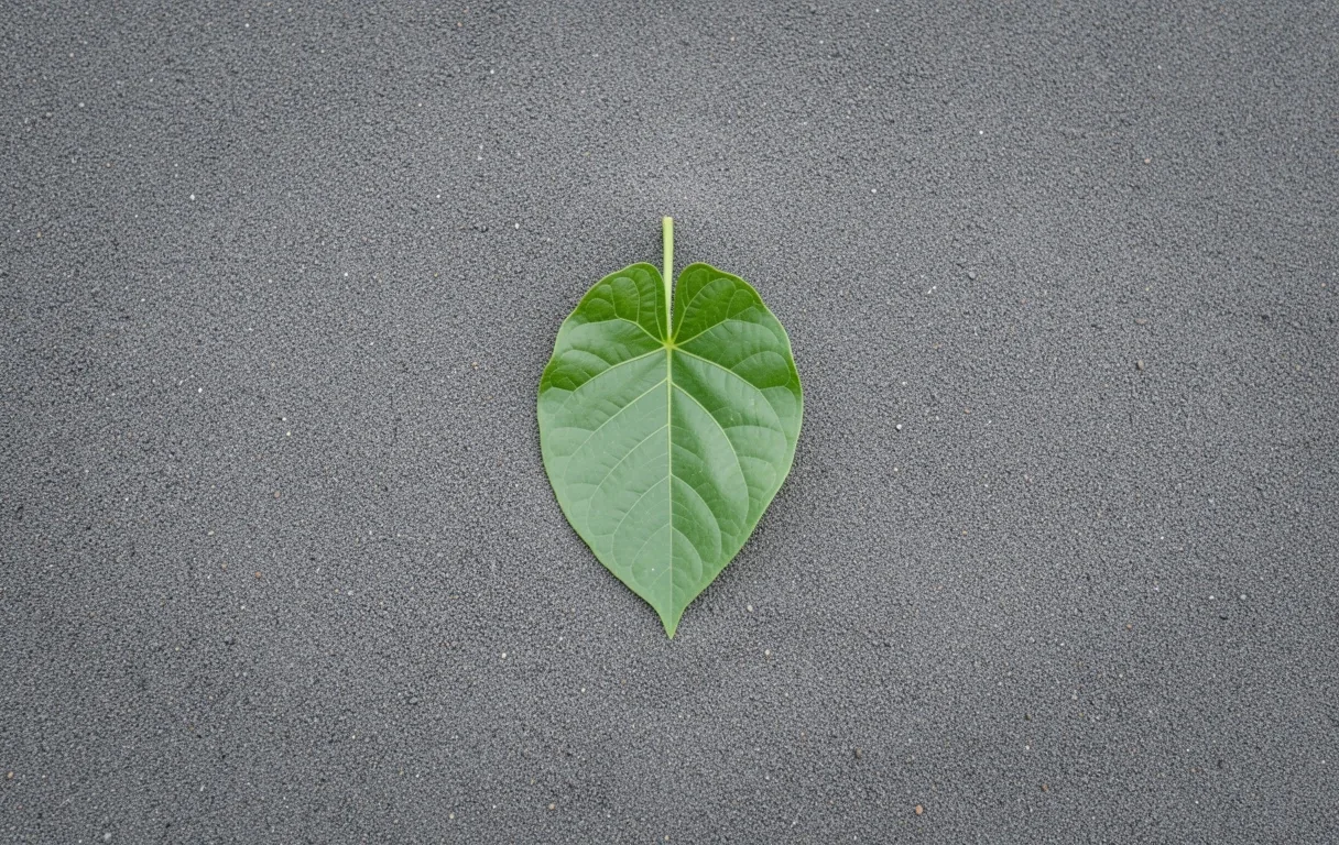 Visual ketenangan botanical